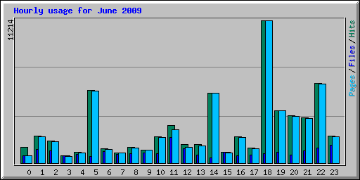 Hourly usage for June 2009